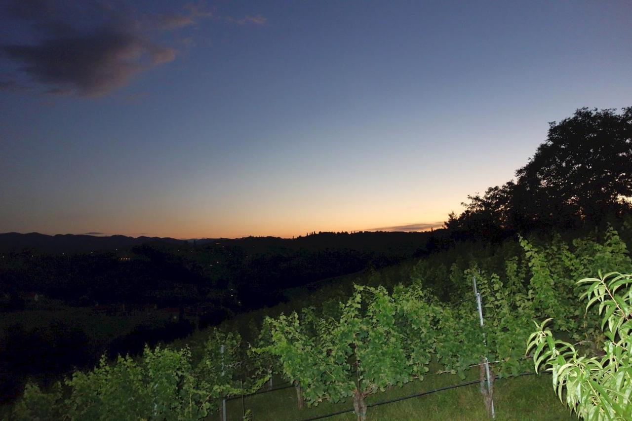 Das Weinberghaus Ratsch an der Weinstraße Zewnętrze zdjęcie